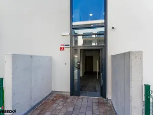 Prodej bytu 1+kk, Plzeň, Železná, 34 m2