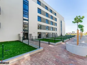 Prodej bytu 1+kk, Plzeň, Železná, 34 m2