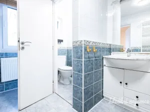 Pronájem bytu 4+kk, Brandýs nad Labem-Stará Boleslav, Železná, 140 m2