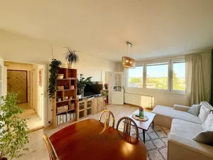 Pronájem bytu 3+1, Olomouc, Lazecká, 66 m2