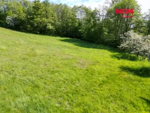 Prodej pozemku pro bydlení, Slaná - Hořensko, 1794 m2