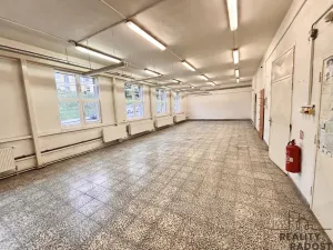 Prodej komerční nemovitosti, Šternberk, Svatoplukova, 244 m2