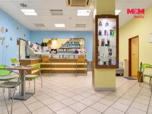 Prodej obchodního prostoru, Otrokovice, Tylova, 750 m2