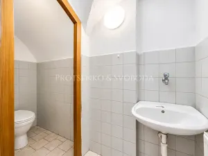 Prodej vícegeneračního domu, Jihlava, Brněnská, 300 m2