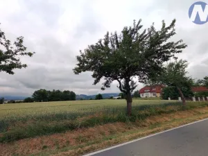 Prodej pozemku pro bydlení, Vrbice, 7124 m2