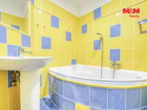 Pronájem bytu 1+1, Plasy, Potoční, 38 m2