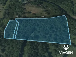 Prodej podílu lesa, Žitenice, 1311 m2