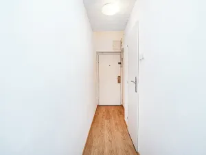 Pronájem bytu 1+kk, Praha - Žižkov, Fibichova, 32 m2