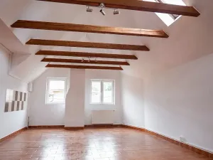 Prodej komerční nemovitosti, Česká Bělá, 312 m2