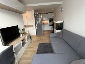 Pronájem bytu 2+kk, Kladno - Kročehlavy, Švýcarská, 42 m2