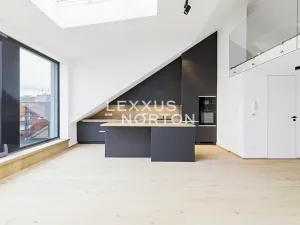 Pronájem bytu 3+kk, Praha - Bubeneč, Českomalínská, 123 m2