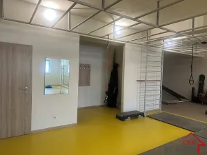 Pronájem ordinace, Napajedla, Dr. Beneše, 375 m2