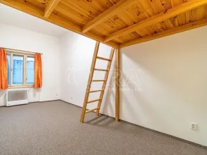 Pronájem bytu 1+kk, Dřevohryzy, 27 m2