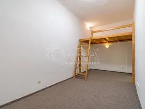 Pronájem bytu 1+kk, Dřevohryzy, 27 m2