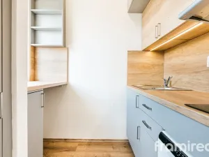 Prodej bytu 1+kk, Brno, Vídeňská, 30 m2