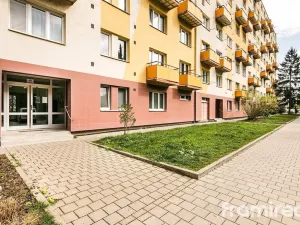 Prodej bytu 1+kk, Brno, Vídeňská, 30 m2