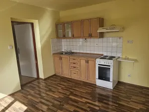 Prodej domu, Podbořany - Hlubany, 338 m2