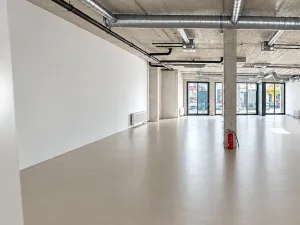Pronájem obchodního prostoru, Praha - Žižkov, Husitská, 246 m2