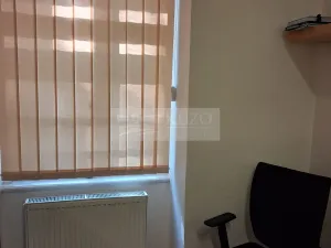Pronájem bytu 2+kk, Praha - Vinohrady, Mánesova, 45 m2