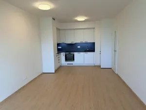 Pronájem bytu 3+kk, Praha - Řeporyje, Haenkeho, 65 m2