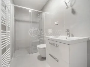 Pronájem bytu 1+kk, Praha - Stodůlky, Za Lužinami, 27 m2