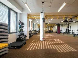 Pronájem kanceláře, Brno, Lazaretní, 380 m2