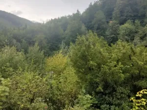 Prodej chaty, Hlubočky - Hrubá Voda, 52 m2