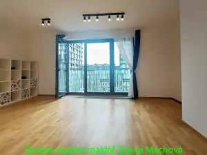 Pronájem bytu 1+kk, Praha - Žižkov, Olšanská, 40 m2