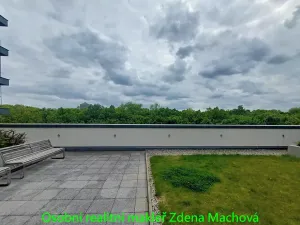 Pronájem bytu 1+kk, Praha - Žižkov, Olšanská, 40 m2