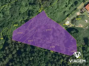 Prodej lesa, Podkopná Lhota, 2034 m2