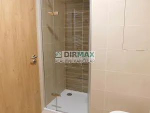 Pronájem bytu 1+kk, Plzeň - Jižní Předměstí, Železná, 38 m2
