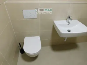 Pronájem bytu 1+kk, Plzeň - Jižní Předměstí, Železná, 38 m2