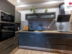 Pronájem bytu 2+kk, Plzeň - Východní Předměstí, Papírnická, 55 m2