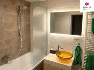 Pronájem bytu 2+kk, Plzeň - Východní Předměstí, Papírnická, 55 m2