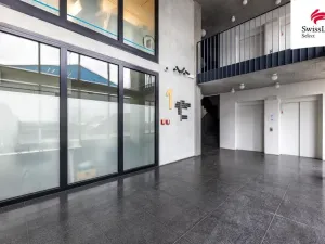 Pronájem bytu 2+kk, Plzeň - Východní Předměstí, Papírnická, 55 m2