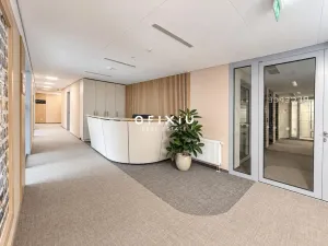 Pronájem kanceláře, Praha - Košíře, Vrchlického, 650 m2