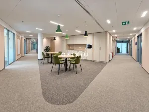 Pronájem kanceláře, Praha - Košíře, Vrchlického, 650 m2