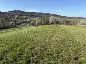 Prodej louky, Hostašovice, 101964 m2