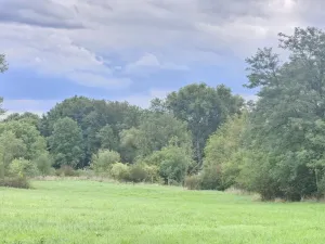 Prodej výrobních prostor, Býčkovice - Velký Újezd, 700 m2