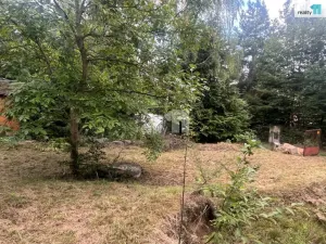 Prodej chaty, Řehenice - Babice, 484 m2