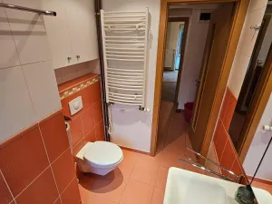 Pronájem bytu 3+1, Meziboří, Okružní, 60 m2