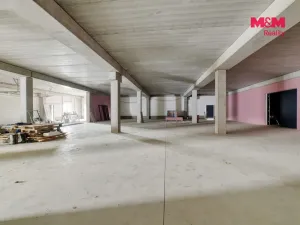 Pronájem výrobních prostor, Cheb, Karlova, 2200 m2