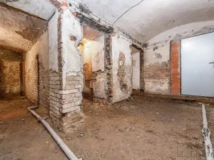Prodej obchodního prostoru, Praha - Vinohrady, Chodská, 99 m2