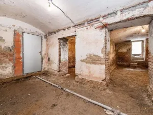 Prodej obchodního prostoru, Praha - Vinohrady, Chodská, 99 m2