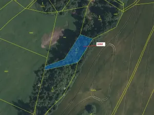 Dražba lesa, Volfířov, 1007 m2