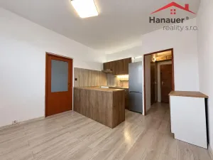 Pronájem bytu 1+1, Jílové - Kamenná, Mládeže, 36 m2