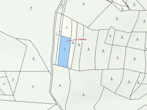 Dražba louky, Hovězí, 1868 m2