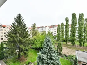 Pronájem bytu 2+1, Praha - Bubeneč, Národní obrany, 74 m2