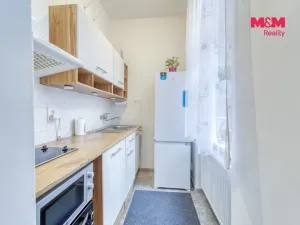 Prodej bytu 1+kk, Plzeň - Východní Předměstí, Plzenecká, 30 m2
