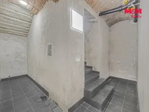 Pronájem komerční nemovitosti, Praha, Seifertova, 100 m2